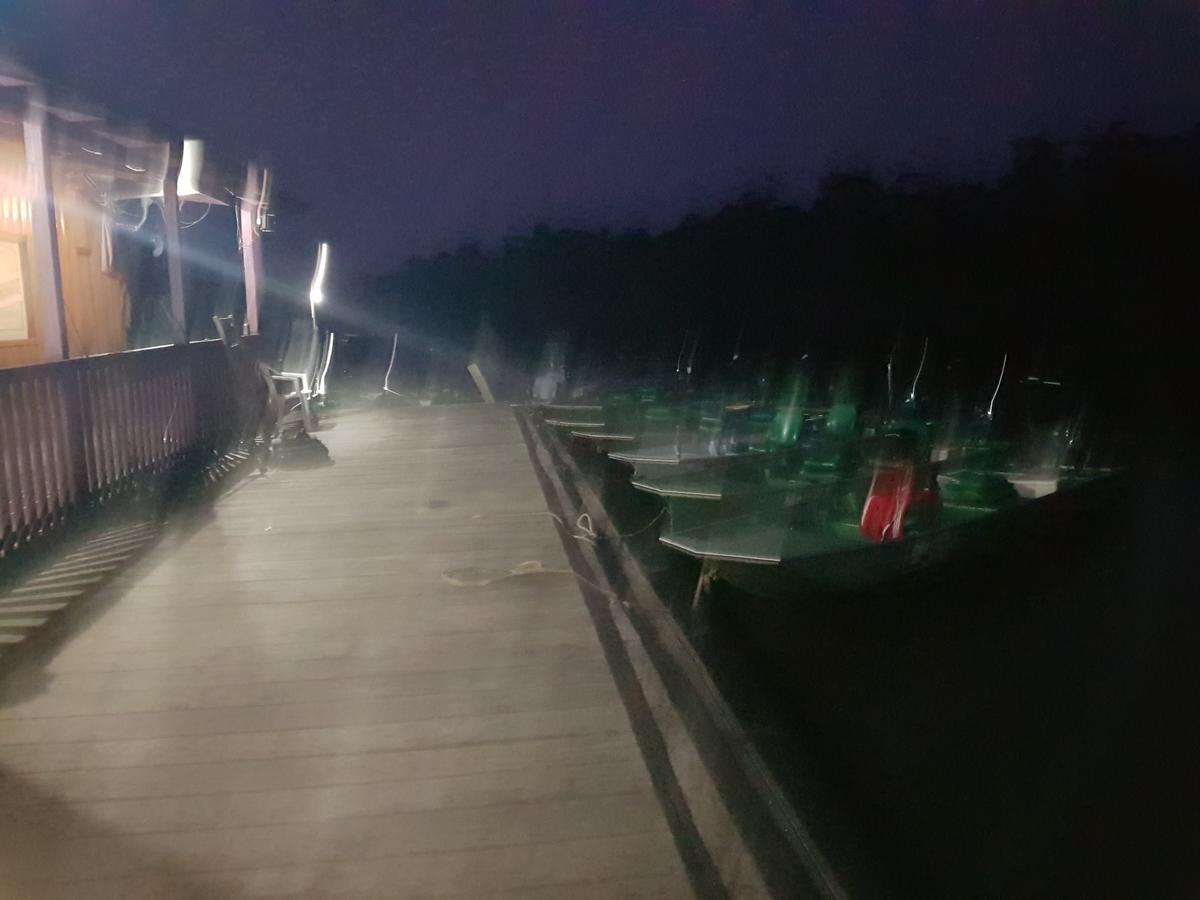 Amazon Arowana Lodge Careiro エクステリア 写真