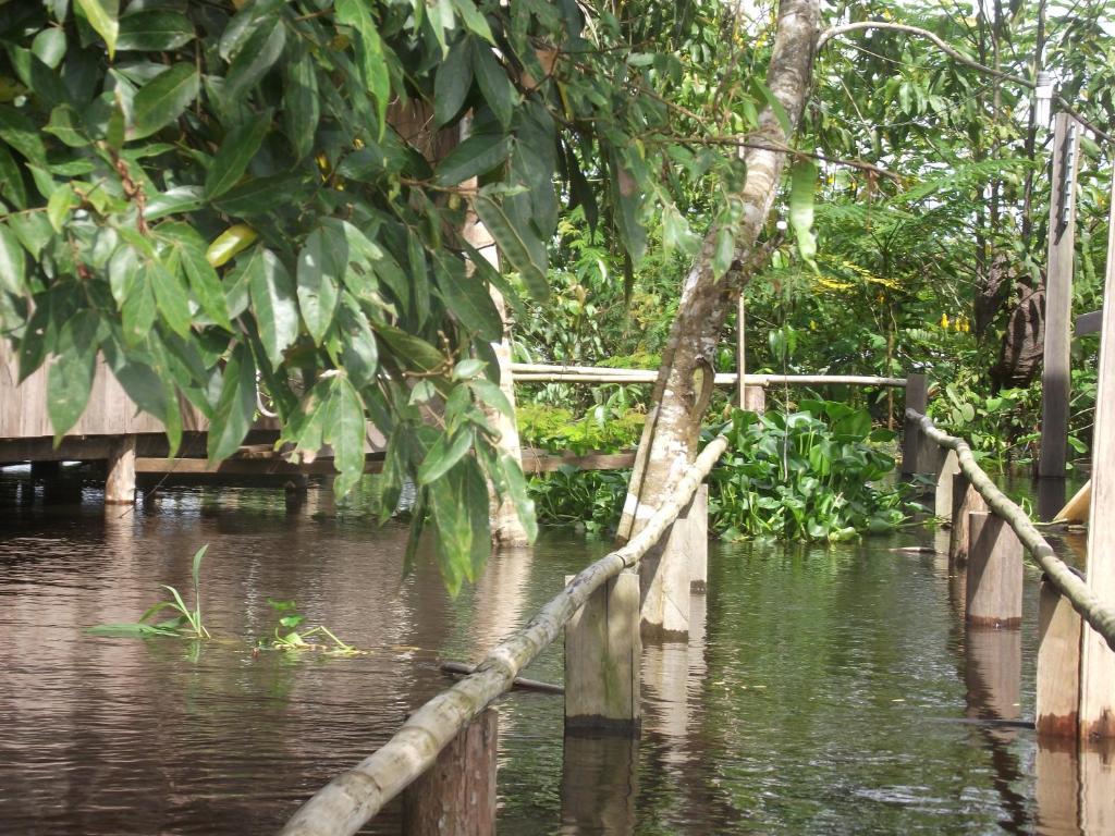 Amazon Arowana Lodge Careiro エクステリア 写真